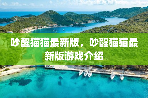 吵醒貓貓最新版，吵醒貓貓最新版游戲介紹