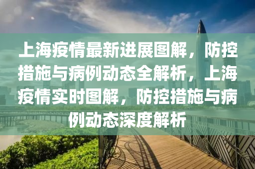 上海疫情最新進展圖解，防控措施與病例動態(tài)全解析，上海疫情實時圖解，防控措施與病例動態(tài)深度解析