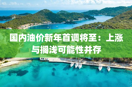 國內(nèi)油價新年首調(diào)將至：上漲與擱淺可能性并存