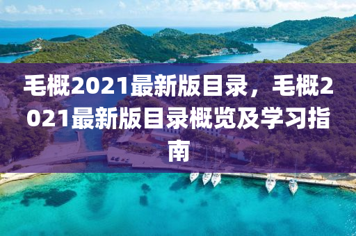 毛概2021最新版目錄，毛概2021最新版目錄概覽及學(xué)習(xí)指南