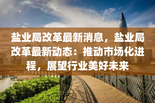 鹽業(yè)局改革最新消息，鹽業(yè)局改革最新動態(tài)：推動市場化進程，展望行業(yè)美好未來