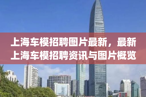上海車模招聘圖片最新，最新上海車模招聘資訊與圖片概覽