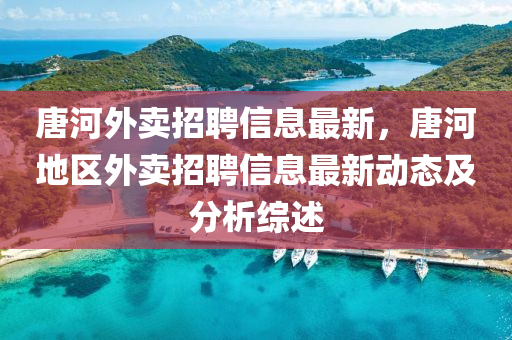 唐河外賣招聘信息最新，唐河地區(qū)外賣招聘信息最新動(dòng)態(tài)及分析綜述
