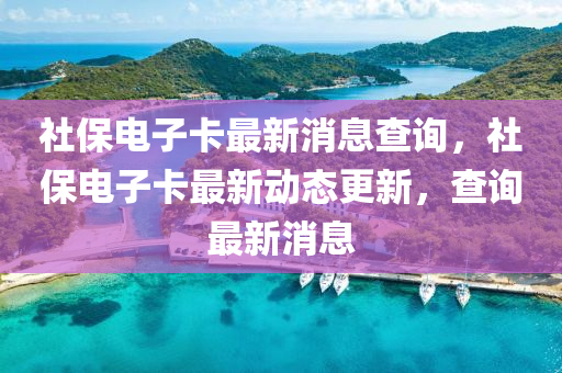 社保電子卡最新消息查詢，社保電子卡最新動(dòng)態(tài)更新，查詢最新消息