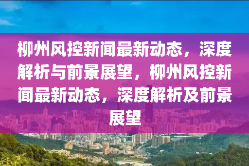 柳州風(fēng)控新聞最新動(dòng)態(tài)，深度解析與前景展望，柳州風(fēng)控新聞最新動(dòng)態(tài)，深度解析及前景展望