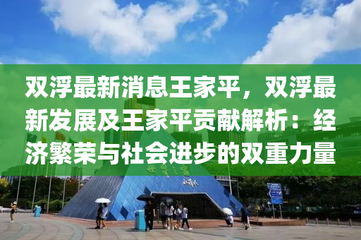 雙浮最新消息王家平，雙浮最新發(fā)展及王家平貢獻(xiàn)解析：經(jīng)濟(jì)繁榮與社會進(jìn)步的雙重力量