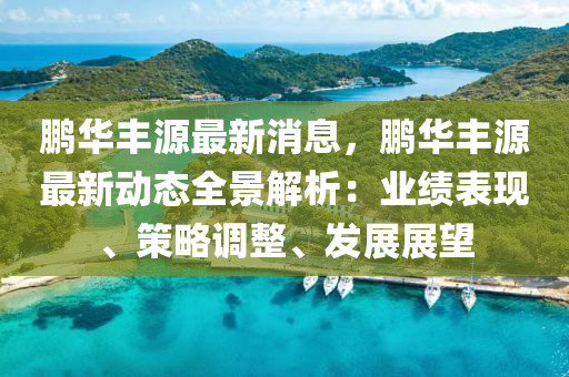 鵬華豐源最新消息，鵬華豐源最新動態(tài)全景解析：業(yè)績表現(xiàn)、策略調(diào)整、發(fā)展展望