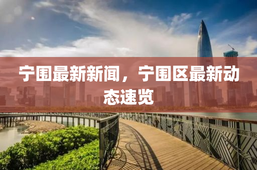 寧圍最新新聞，寧圍區(qū)最新動(dòng)態(tài)速覽