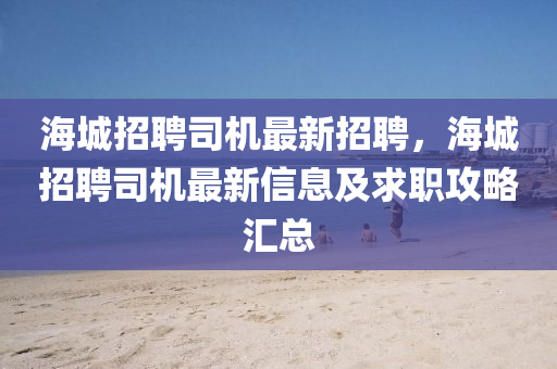 海城招聘司機最新招聘，海城招聘司機最新信息及求職攻略匯總