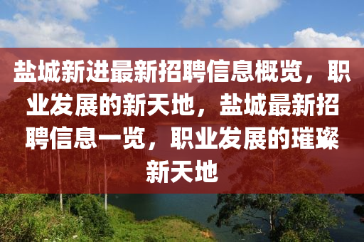 鹽城新進最新招聘信息概覽，職業(yè)發(fā)展的新天地，鹽城最新招聘信息一覽，職業(yè)發(fā)展的璀璨新天地