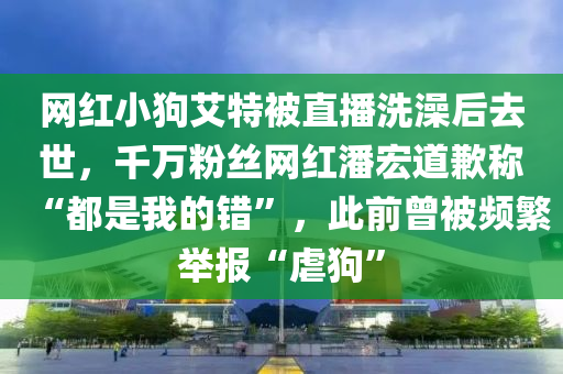 2025年2月13日 第16頁