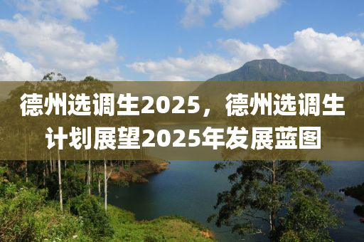 德州選調(diào)生2025，德州選調(diào)生計(jì)劃展望2025年發(fā)展藍(lán)圖