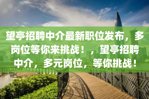望亭招聘中介最新職位發(fā)布，多崗位等你來挑戰(zhàn)！，望亭招聘中介，多元崗位，等你挑戰(zhàn)！