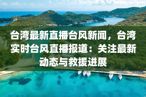 臺灣最新直播臺風新聞，臺灣實時臺風直播報道：關注最新動態(tài)與救援進展