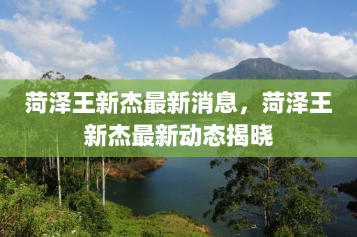 菏澤王新杰最新消息，菏澤王新杰最新動態(tài)揭曉