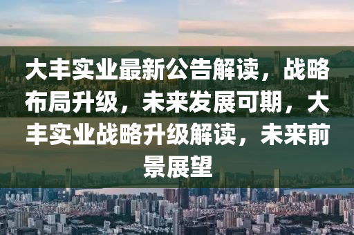 大豐實(shí)業(yè)最新公告解讀，戰(zhàn)略布局升級(jí)，未來發(fā)展可期，大豐實(shí)業(yè)戰(zhàn)略升級(jí)解讀，未來前景展望
