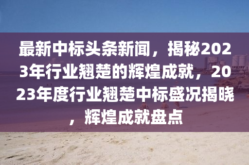 最新中標(biāo)頭條新聞，揭秘2023年行業(yè)翹楚的輝煌成就，2023年度行業(yè)翹楚中標(biāo)盛況揭曉，輝煌成就盤點