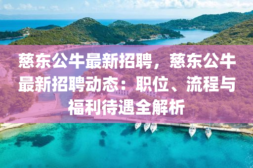 慈東公牛最新招聘，慈東公牛最新招聘動態(tài)：職位、流程與福利待遇全解析