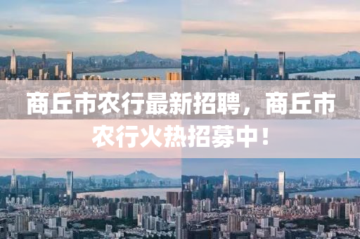 商丘市農(nóng)行最新招聘，商丘市農(nóng)行火熱招募中！