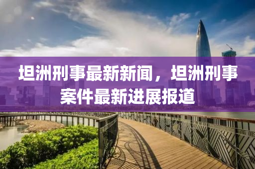 坦洲刑事最新新聞，坦洲刑事案件最新進展報道