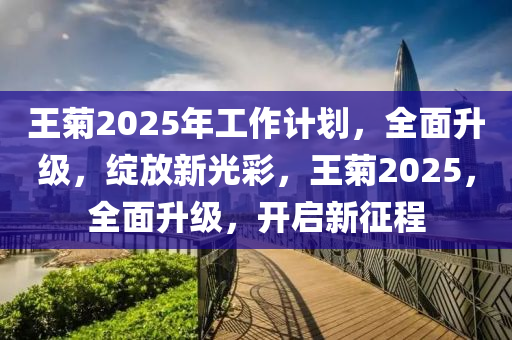 王菊2025年工作計(jì)劃，全面升級(jí)，綻放新光彩，王菊2025，全面升級(jí)，開啟新征程