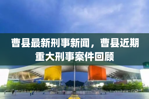 曹縣最新刑事新聞，曹縣近期重大刑事案件回顧