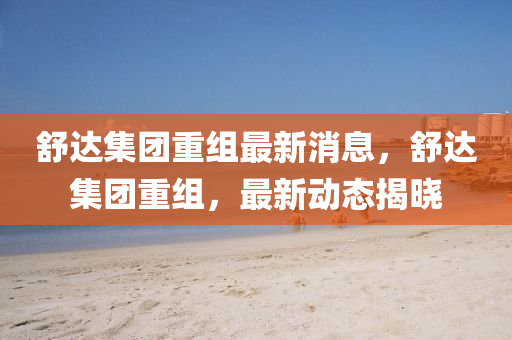 舒達集團重組最新消息，舒達集團重組，最新動態(tài)揭曉