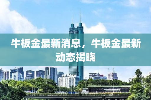 牛板金最新消息，牛板金最新動態(tài)揭曉