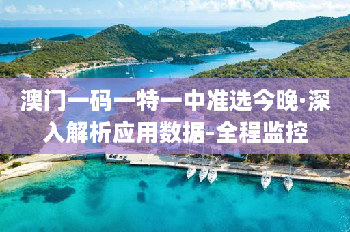 澳門一碼一特一中準(zhǔn)選今晚·深入解析應(yīng)用數(shù)據(jù)-全程監(jiān)控