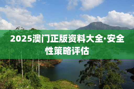 2025澳門正版資料大全·安全性策略評(píng)估