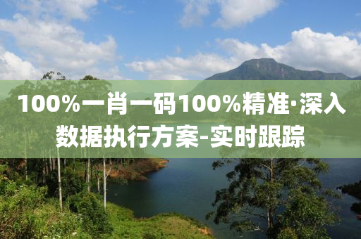 100%一肖一碼100%精準·深入數(shù)據(jù)執(zhí)行方案-實時跟蹤