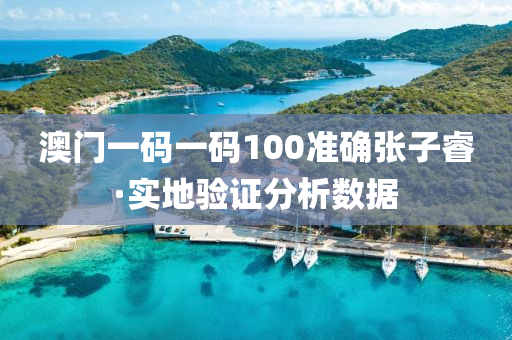 澳門一碼一碼100準確張子睿·實地驗證分析數(shù)據(jù)