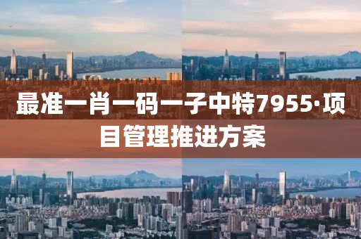 最準(zhǔn)一肖一碼一子中特7955·項(xiàng)目管理推進(jìn)方案