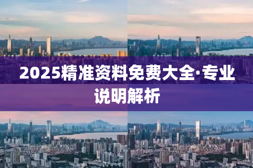 2025精準(zhǔn)資料免費(fèi)大全·專業(yè)說明解析