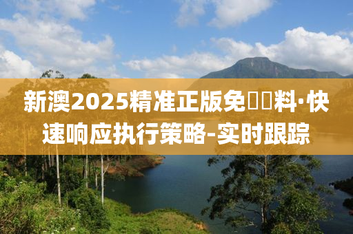 新澳2025精準(zhǔn)正版免費(fèi)資料·快速響應(yīng)執(zhí)行策略-實(shí)時(shí)跟蹤