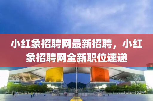 小紅象招聘網(wǎng)最新招聘，小紅象招聘網(wǎng)全新職位速遞
