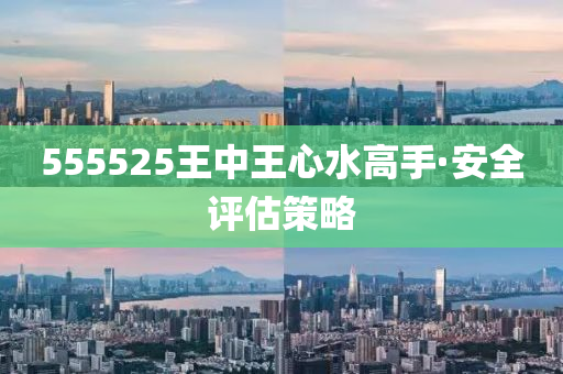 555525王中王心水高手·安全評估策略