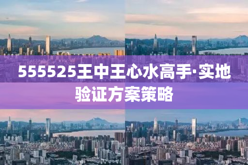 555525王中王心水高手·實地驗證方案策略