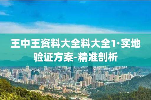 王中王資料大全料大全1·實地驗證方案-精準剖析