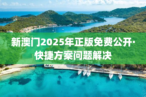 新澳門2025年正版免費公開·快捷方案問題解決