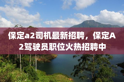 保定a2司機(jī)最新招聘，保定A2駕駛員職位火熱招聘中