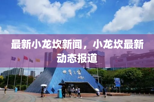 最新小龍坎新聞，小龍坎最新動態(tài)報道