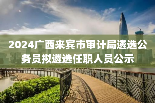 2024廣西來賓市審計(jì)局遴選公務(wù)員擬遴選任職人員公示