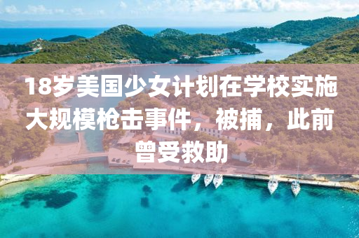 18歲美國少女計劃在學(xué)校實施大規(guī)模槍擊事件，被捕，此前曾受救助