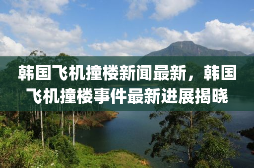 韓國飛機撞樓新聞最新，韓國飛機撞樓事件最新進展揭曉