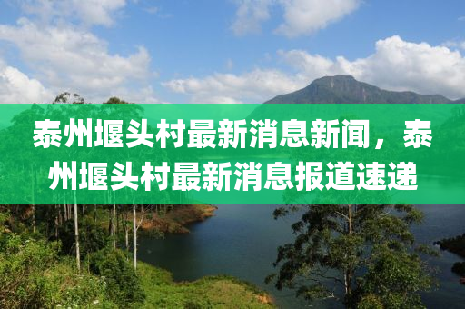 泰州堰頭村最新消息新聞，泰州堰頭村最新消息報(bào)道速遞