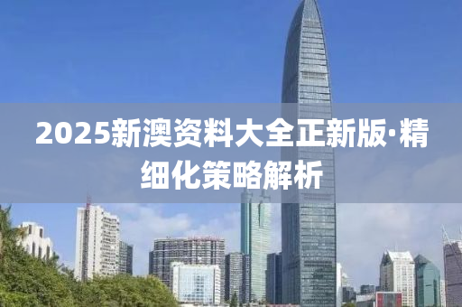 2025新澳資料大全正新版·精細(xì)化策略解析