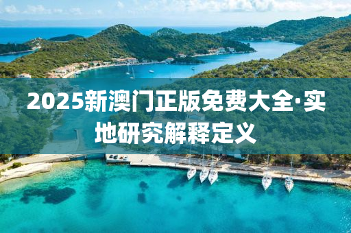 2025新澳門正版免費大全·實地研究解釋定義