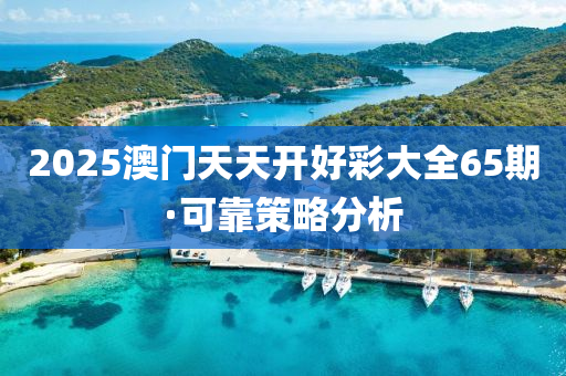 2025澳門(mén)天天開(kāi)好彩大全65期·可靠策略分析