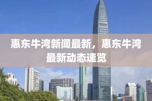 惠東牛灣新聞最新，惠東牛灣最新動態(tài)速覽